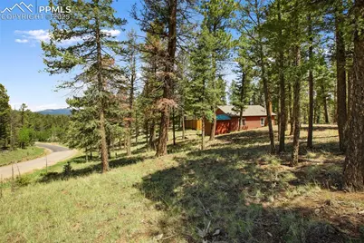 31 Handcart Circle, Florissant, CO 80816 - Photo 30