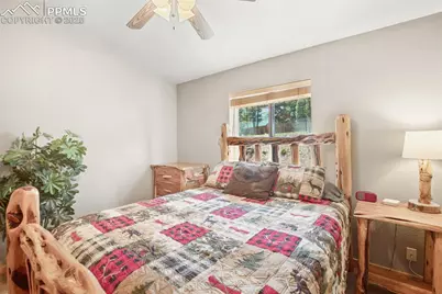 31 Handcart Circle, Florissant, CO 80816 - Photo 20