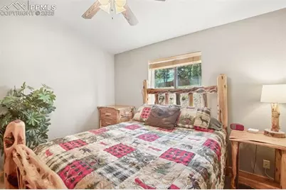 31 Handcart Circle, Florissant, CO 80816 - Photo 20