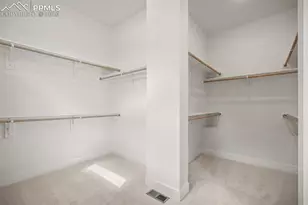 17113 Alsike Clover Ct, Monument, CO 80132 - Photo 30