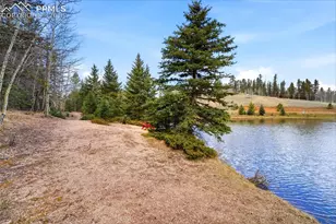 164 Aspen Cir, Divide, CO 80814 - Photo 46