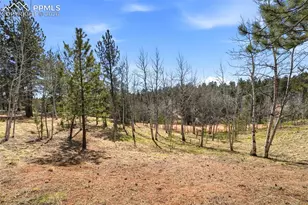 164 Aspen Cir, Divide, CO 80814 - Photo 34
