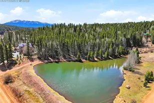 164 Aspen Cir, Divide, CO 80814 - Photo 38