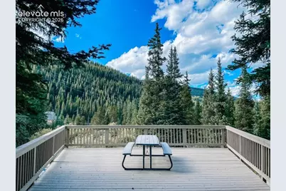 193 Range Road #1, Breckenridge, CO 80424 - Photo 28