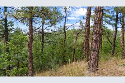 5831 Spurwood Court, Colorado Springs, CO 80918 - Photo 8