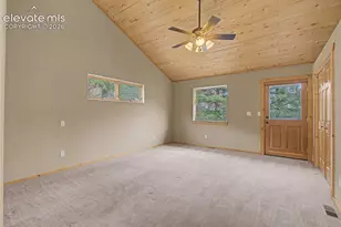 455 Lost Cyn Hts, Florissant, CO 80816 - Photo 22