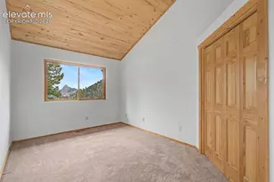 455 Lost Cyn Hts, Florissant, CO 80816 - Photo 28