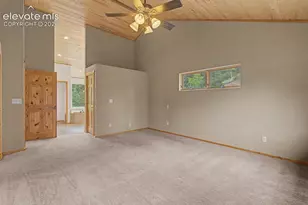 455 Lost Cyn Hts, Florissant, CO 80816 - Photo 24