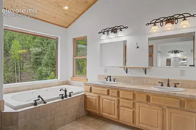 455 Lost Canyon Heights, Florissant, CO 80816 - Photo 26