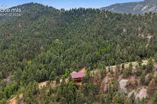455 Lost Cyn Hts, Florissant, CO 80816 - Photo 42