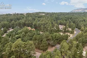 19690 W Top O The Moor Dr, Monument, CO 80132 - Photo 44