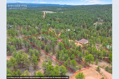 64 Bradshaw Road, Florissant, CO 80816 - Photo 4