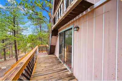 64 Bradshaw Road, Florissant, CO 80816 - Photo 14