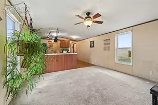 38115 Alta Vista Rd, Calhan, CO 80808 - Photo 8