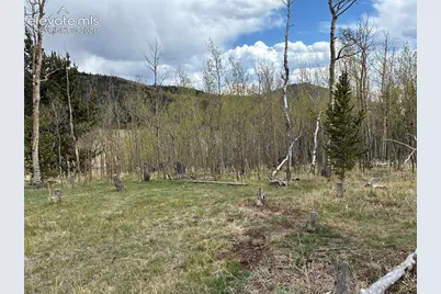 12201 S Highway 67 Na, Cripple Creek, CO 80813 - Photo 24