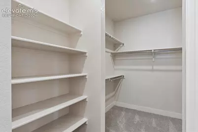 3017 Curly Grove, Colorado Springs, CO 80922 - Photo 16