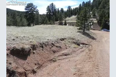 1087 Monarch Drive, Cripple Creek, CO 80813 - Photo 8