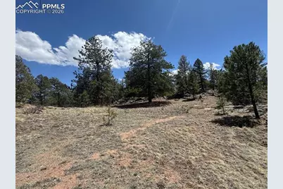 487 Pike View Lane, Florissant, CO 80816 - Photo 4