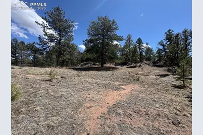 487 Pike View Lane, Florissant, CO 80816 - Photo 38