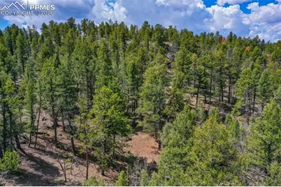 487 Pike View Lane, Florissant, CO 80816 - Photo 28