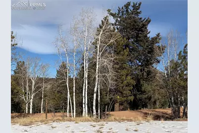 530 Columbine Road, Florissant, CO 80816 - Photo 4