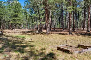 19665 Desparado Dr, Colorado Springs, CO 80908 - Photo 46