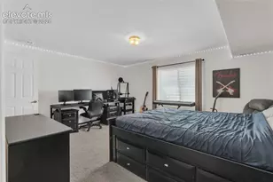 6769 Showhorse Ct, Colorado Springs, CO 80922 - Photo 30
