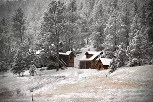 89 Ranch View Rd, Florissant, CO 80816 - Photo 30