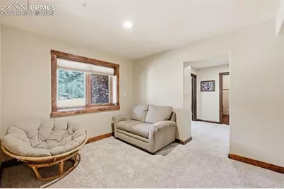 89 Ranch View Road, Florissant, CO 80816 - Photo 22