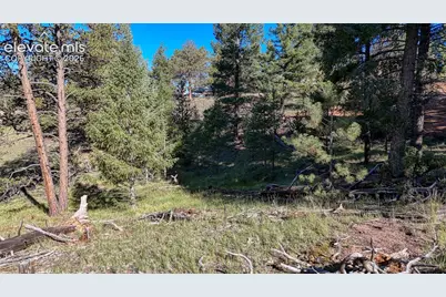 91 Utah Way, Florissant, CO 80816 - Photo 16