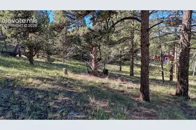 91 Utah Way, Florissant, CO 80816 - Photo 2