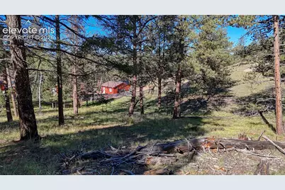 91 Utah Way, Florissant, CO 80816 - Photo 12