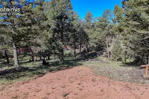 91 Utah Way, Florissant, CO 80816 - Photo 1