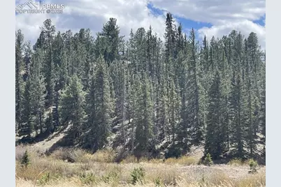 00 Wildhorn Road, Florissant, CO 80816 - Photo 2