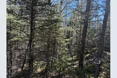 36 Miller Creek Road, Divide, CO 80814 - Photo 24
