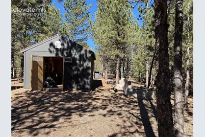 36 Miller Creek Road, Divide, CO 80814 - Photo 10