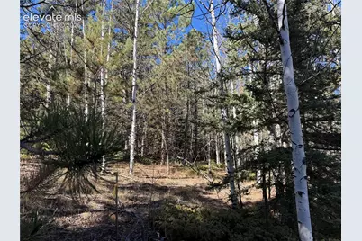 36 Miller Creek Road, Divide, CO 80814 - Photo 22