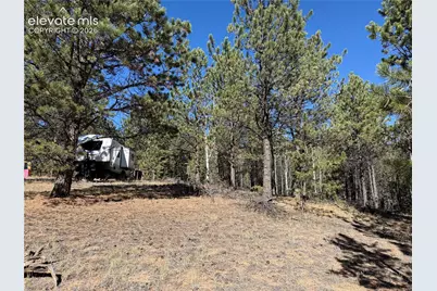 36 Miller Creek Road, Divide, CO 80814 - Photo 16