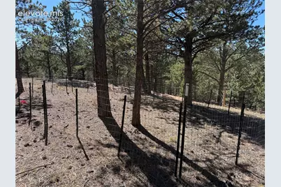 36 Miller Creek Road, Divide, CO 80814 - Photo 12
