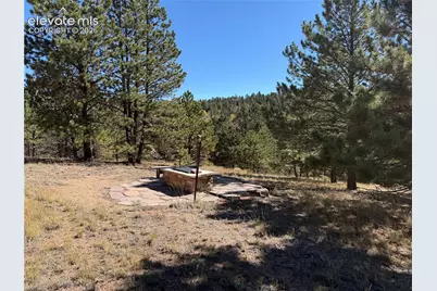 36 Miller Creek Road, Divide, CO 80814 - Photo 8
