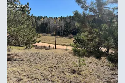 36 Miller Creek Road, Divide, CO 80814 - Photo 20