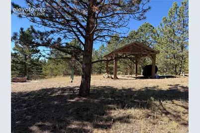 36 Miller Creek Road, Divide, CO 80814 - Photo 14