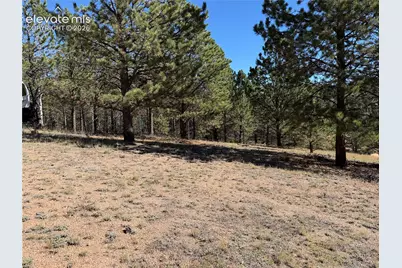 36 Miller Creek Road, Divide, CO 80814 - Photo 6