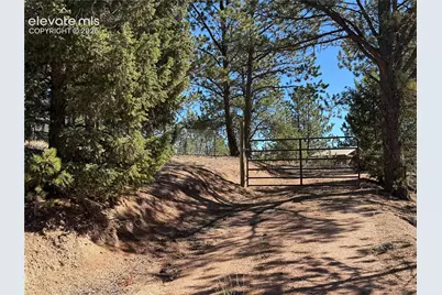 36 Miller Creek Road, Divide, CO 80814 - Photo 2