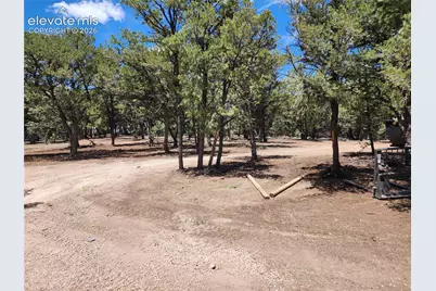 000 8th Trail, Cotopaxi, CO 81223 - Photo 8