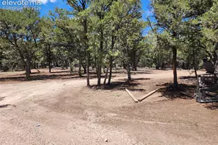 000 8th Trail, Cotopaxi, CO 81223 - Photo 8