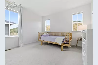 33 Felicity Loop, Castle Rock, CO 80109 - Photo 34
