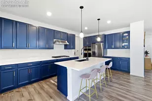 33 Felicity Loop, Castle Rock, CO 80109 - Photo 14