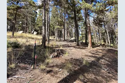 342 Ponderosa View, Manitou Springs, CO 80829 - Photo 14