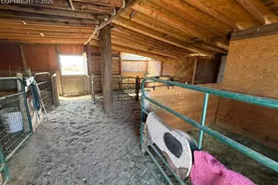 10025 Milne Rd, Colorado Springs, CO 80928 - Photo 36